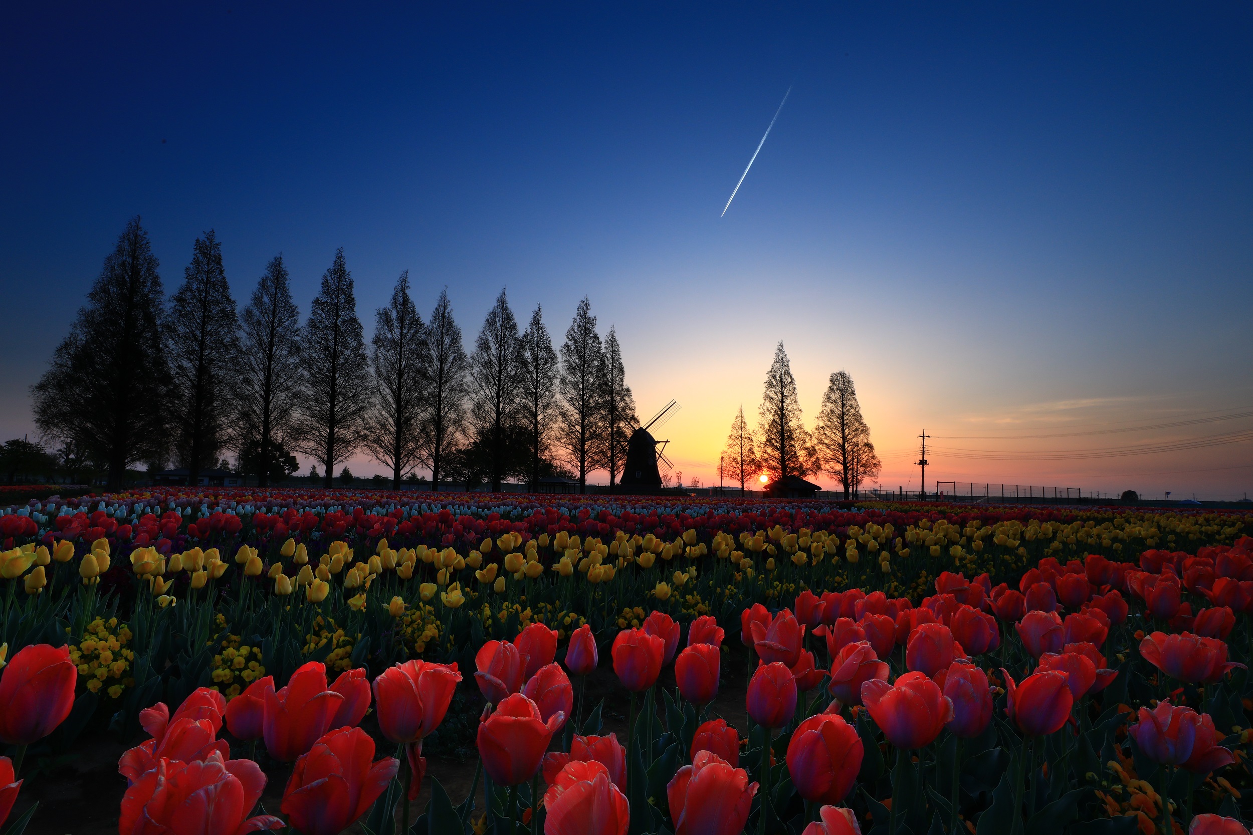 柏の風景2：ある日の、あけぼの山農業公園 散策 | kamon かしわ